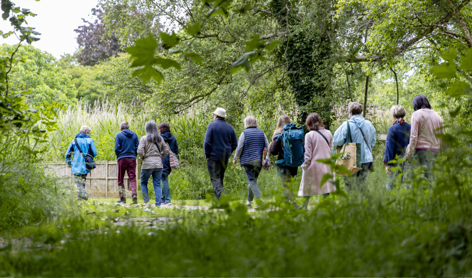 Read case study - A redesign to immerse users in the beauty of nature