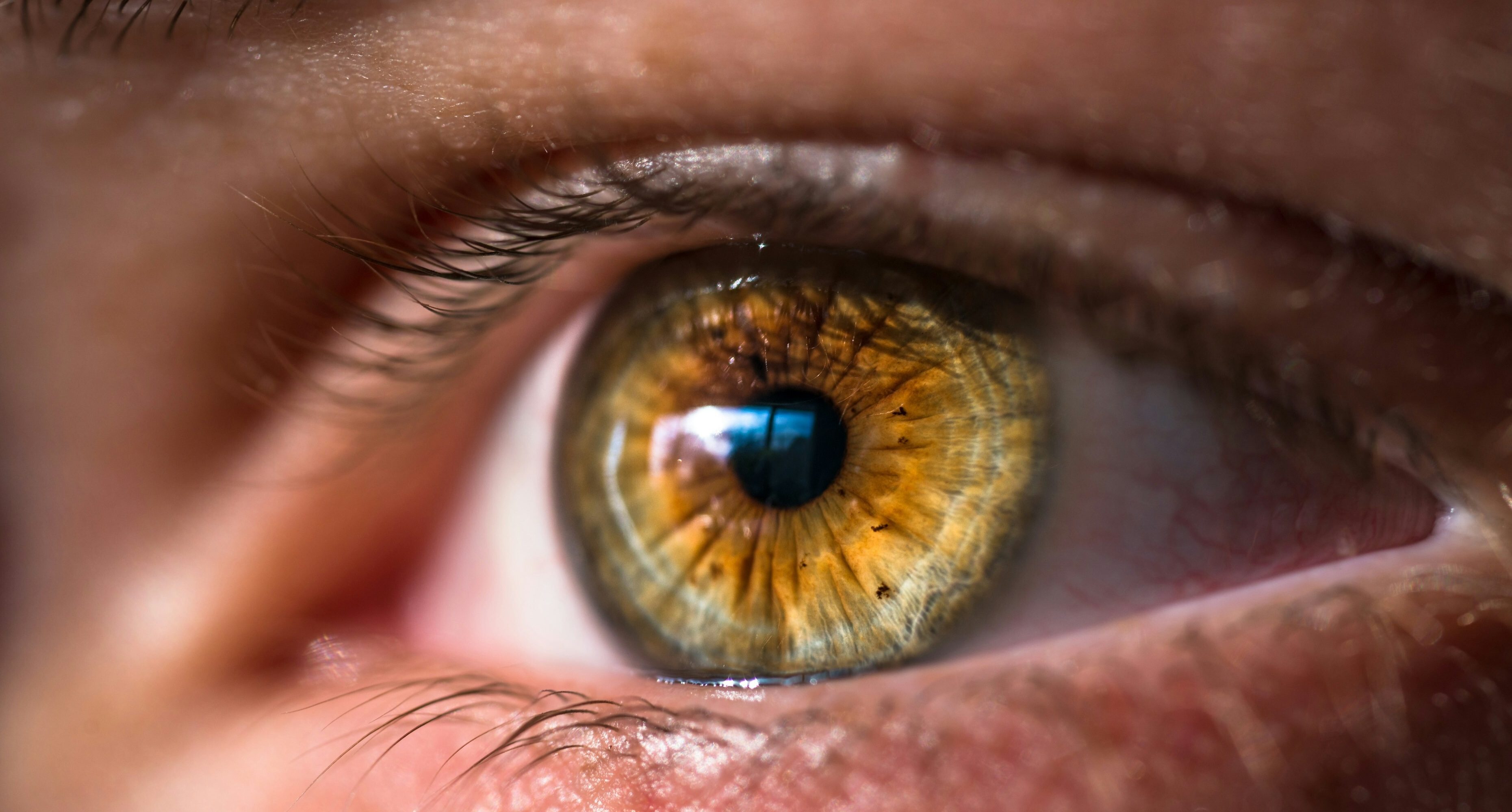 Read case study - Building a sight loss data explorer for RNIB in Laravel