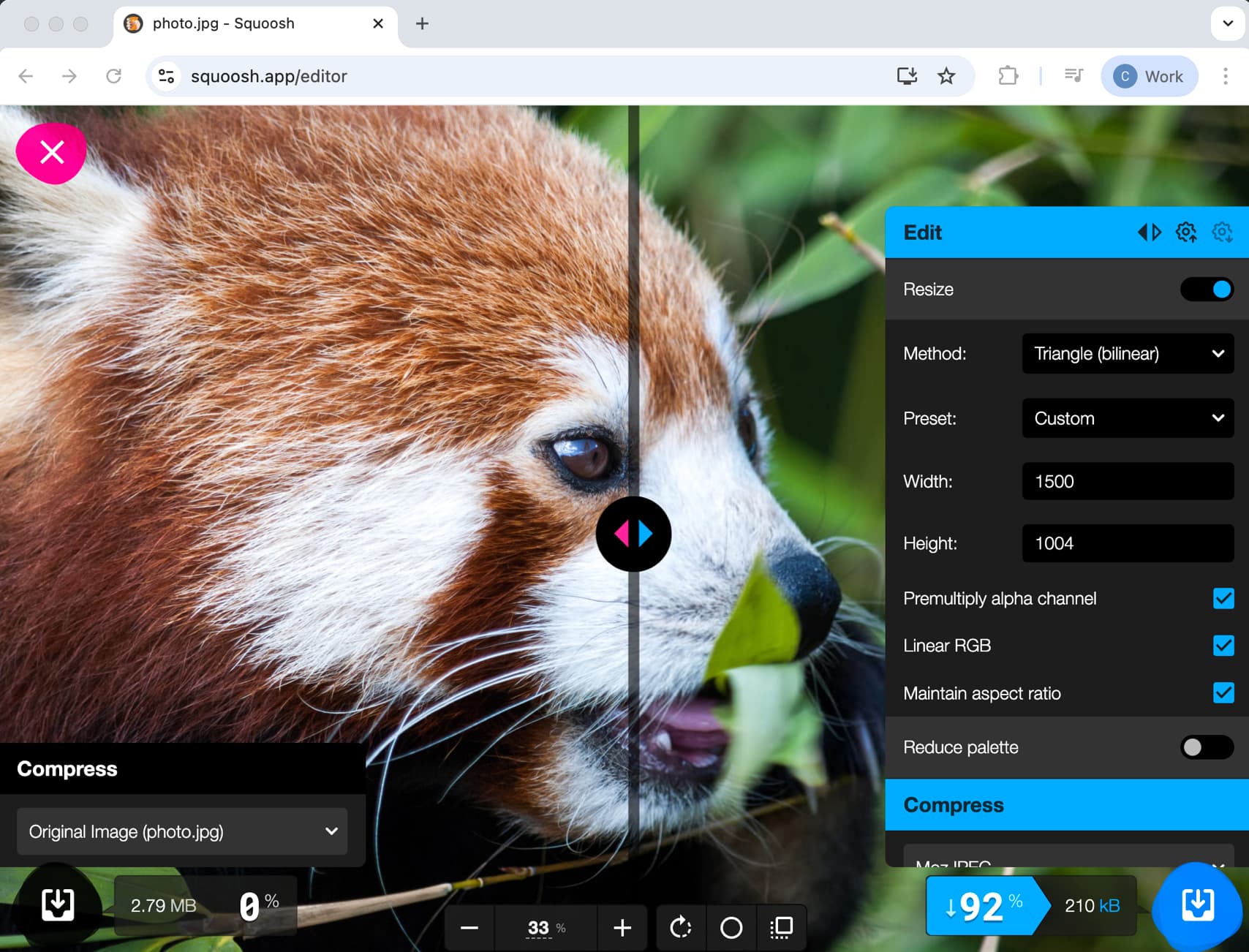A photo of a Red Panda is being compressed in the squoosh app. Original size 2.79MB. New size 210KB